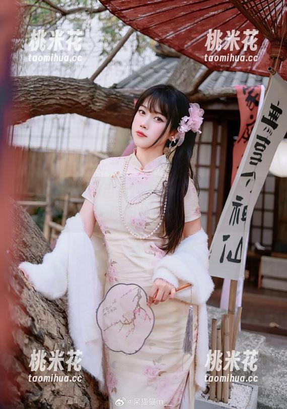 不呆猫 不呆猫在线推出狐狸主题写真,捕捉每一瞬间的美丽