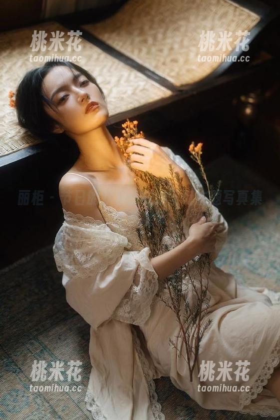 丽柜-安娜 丽柜 - 节日的欢乐:安娜圣诞主题写真集原图展示