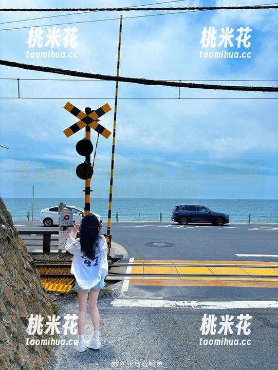 亚马逊鲶鱼 亚马逊鲶鱼的写真集分享:新人看护师的真实情感与视觉感受