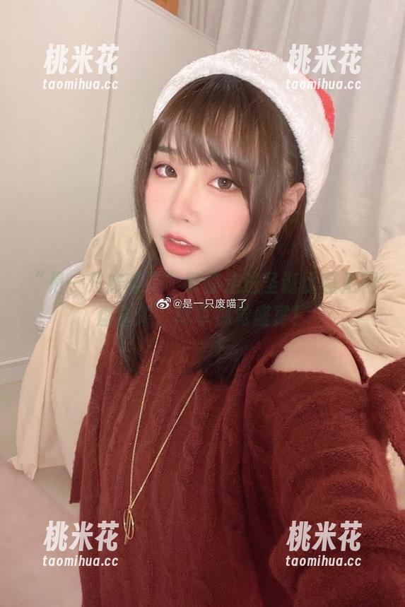 “是一只废喵了”带你走进圣诞比基尼网盘合集，尽享视觉盛宴！